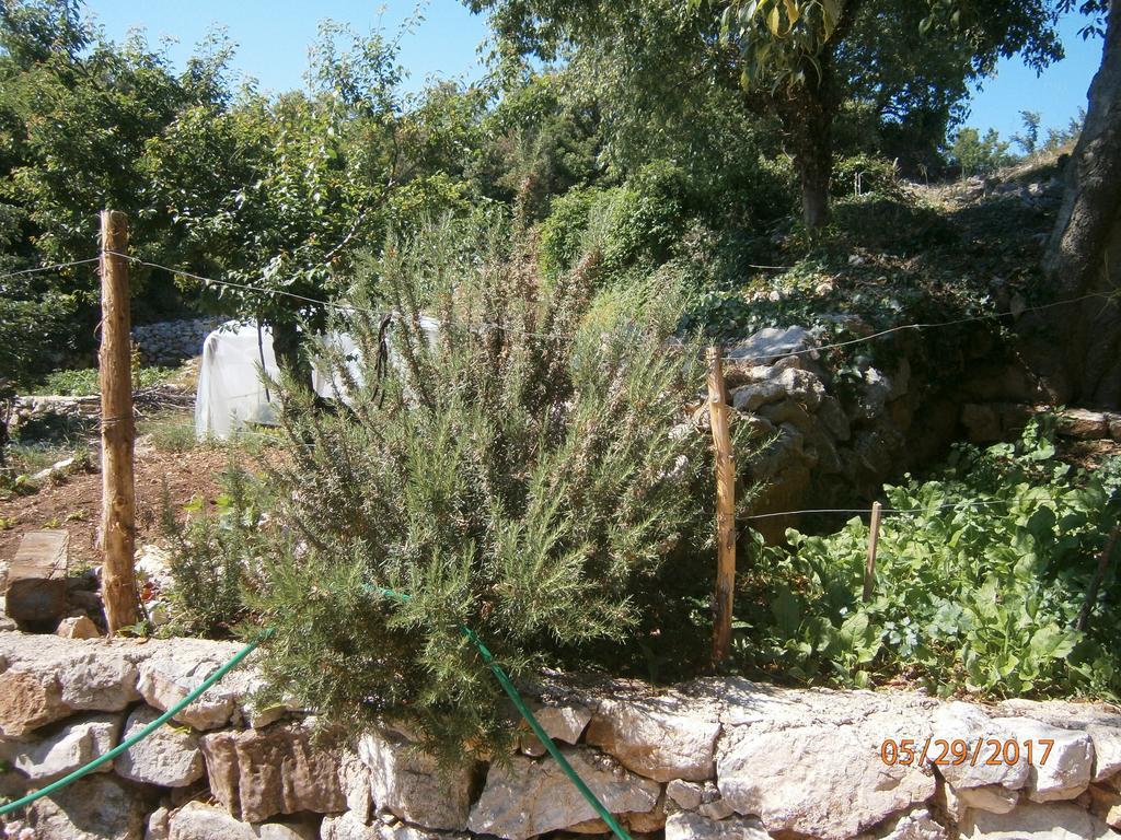 Holiday Home Loznati Cres Eksteriør bilde